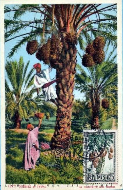 TIMBRES 1 ER JOUR (190).jpg